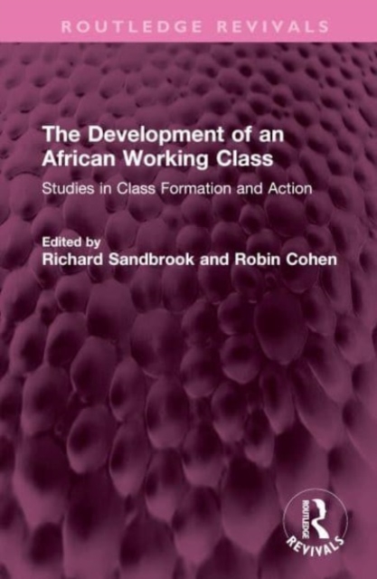 The Development of an African Working Class : Studies in Class Formation and Action, Hardback Book