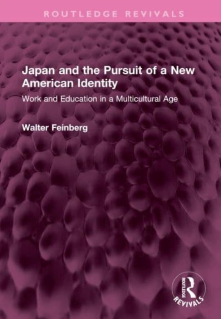 Japan and the Pursuit of a New American Identity : Work and Education in a Multicultural Age, Hardback Book