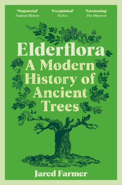 Elderflora : A Modern History of Ancient Trees, Paperback / softback Book
