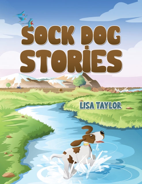 Sock Dog Stories, Paperback / softback Book