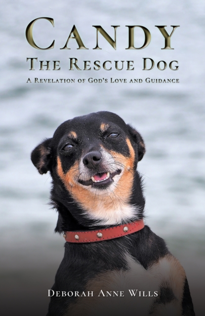 Candy the Rescue Dog : A Revelation of God’s Love and Guidance, Paperback / softback Book