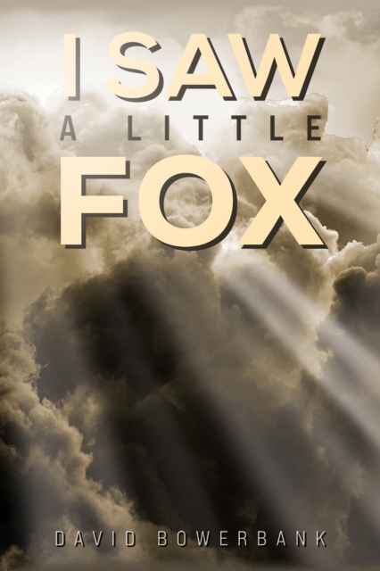 I Saw a Little Fox, EPUB eBook