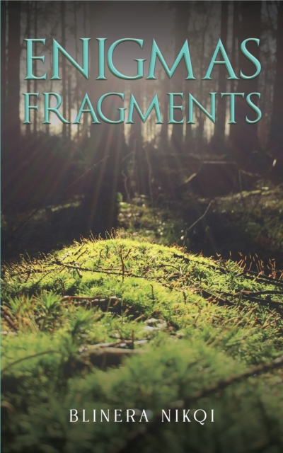 Enigmas Fragments, EPUB eBook