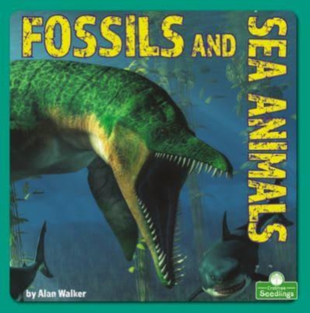 Fossils and Sea Animals, Paperback / softback Book