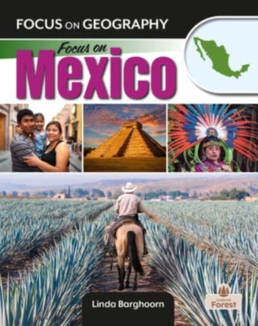 Focus on Mexico, Paperback / softback Book