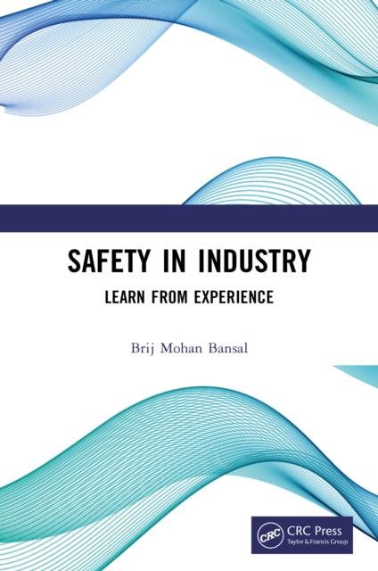Safety in Industry : Learn from Experience, PDF eBook