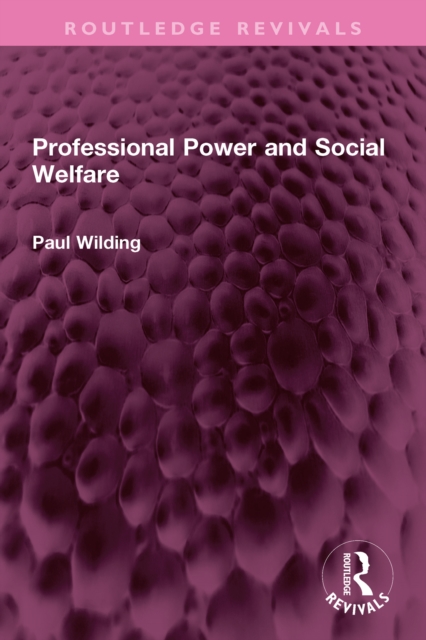 Professional Power and Social Welfare, EPUB eBook