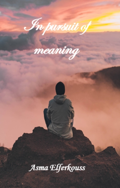 In Pursuit of Meaning, EPUB eBook