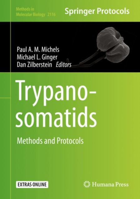 Trypanosomatids : Methods and Protocols, EPUB eBook