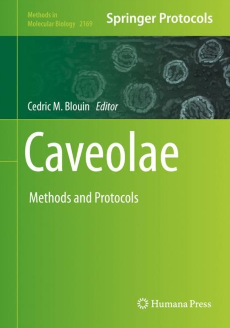 Caveolae : Methods and Protocols, Hardback Book