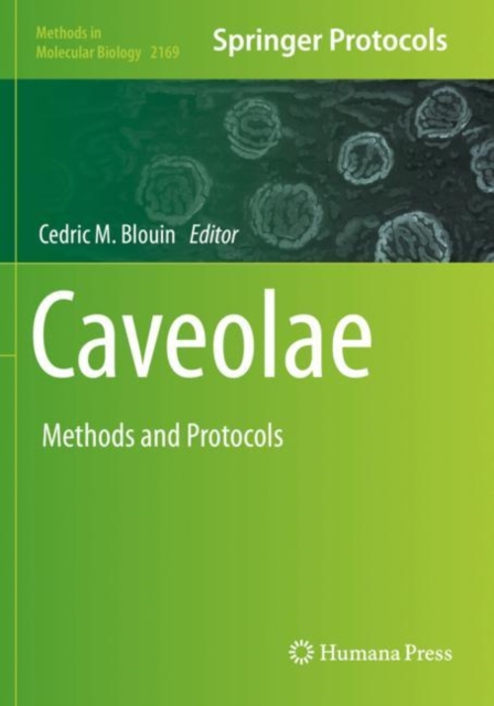 Caveolae : Methods and Protocols, Paperback / softback Book