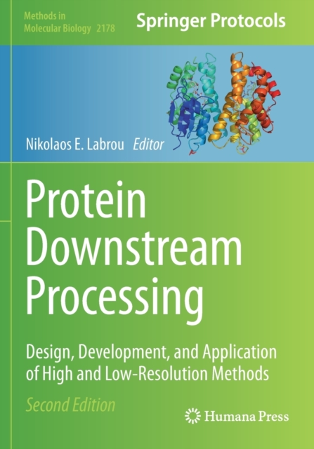 Protein Downstream Processing : Design, Development, and Application of High and Low-Resolution Methods, Paperback / softback Book