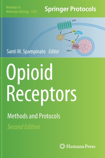 Opioid Receptors : Methods and Protocols, Hardback Book