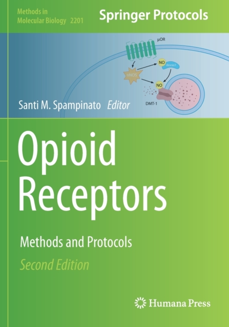 Opioid Receptors : Methods and Protocols, Paperback / softback Book