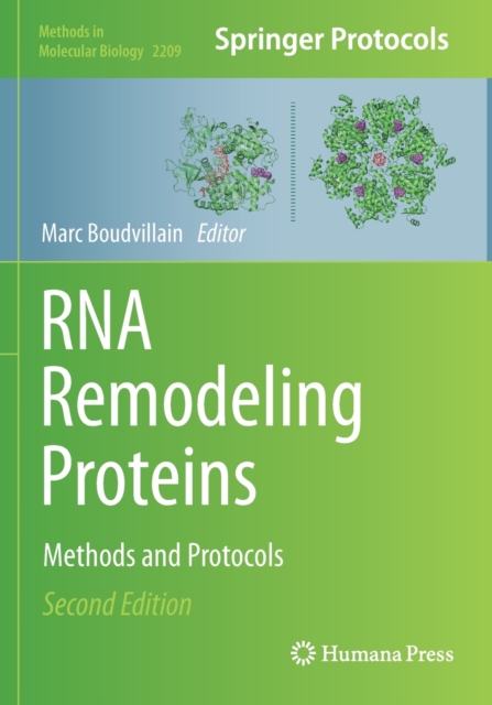 RNA Remodeling Proteins : Methods and Protocols, Paperback / softback Book