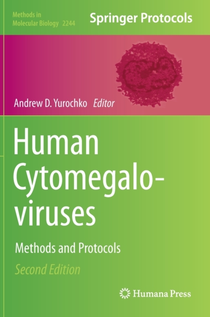 Human Cytomegaloviruses : Methods and Protocols, Hardback Book