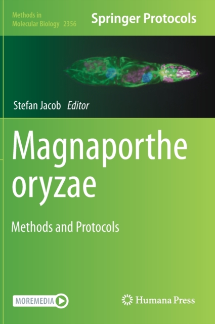 Magnaporthe oryzae : Methods and Protocols, Hardback Book