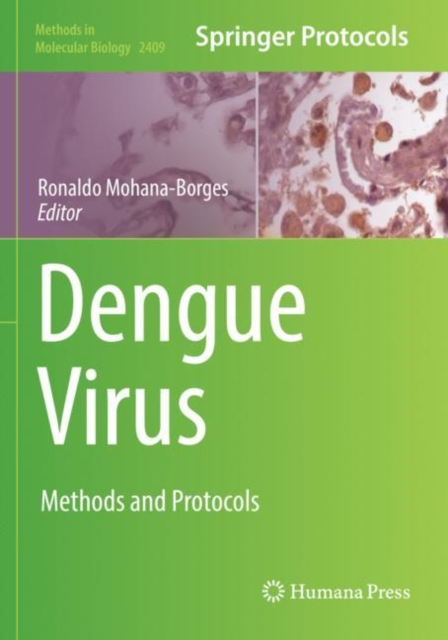 Dengue Virus : Methods and Protocols, Paperback / softback Book