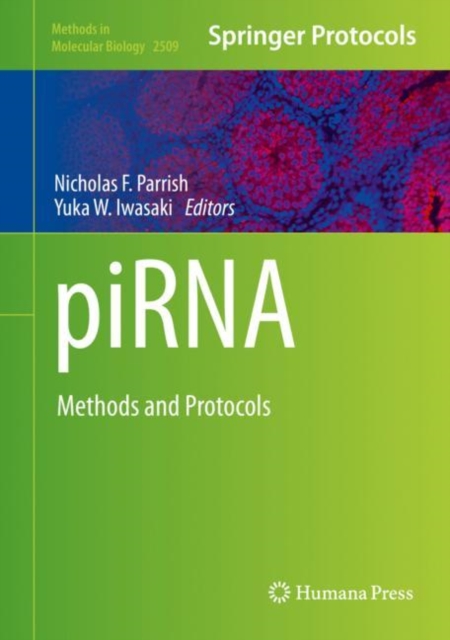 piRNA : Methods and Protocols, Hardback Book