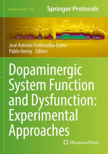 Dopaminergic System Function and Dysfunction: Experimental Approaches, Paperback / softback Book