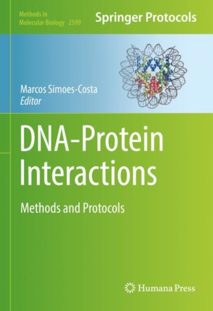 DNA-Protein Interactions : Methods and Protocols, Hardback Book