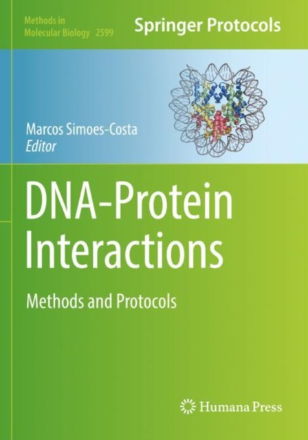 DNA-Protein Interactions : Methods and Protocols, Paperback / softback Book