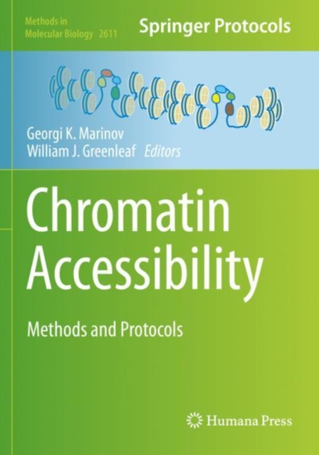 Chromatin Accessibility : Methods and Protocols, Paperback / softback Book