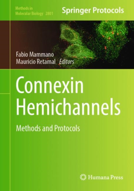 Connexin Hemichannels : Methods and Protocols, EPUB eBook