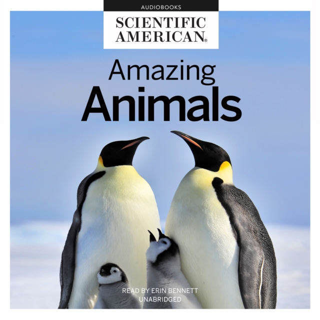Amazing Animals, eAudiobook MP3 eaudioBook