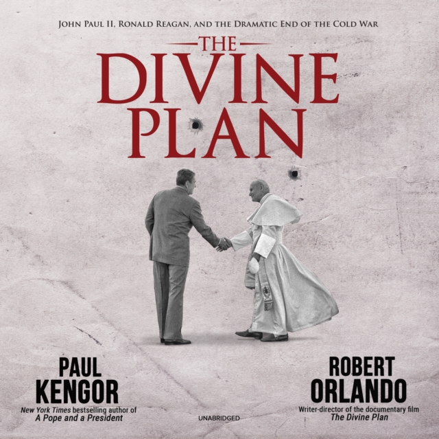 The Divine Plan, eAudiobook MP3 eaudioBook