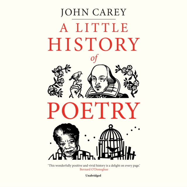 A Little History of Poetry, eAudiobook MP3 eaudioBook