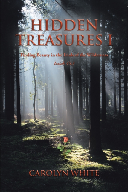 Hidden Treasures I : Finding Beauty in the Trials of the Wilderness, EPUB eBook