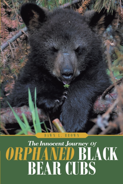 The Innocent Journey of Orphaned Black Bear Cubs, EPUB eBook