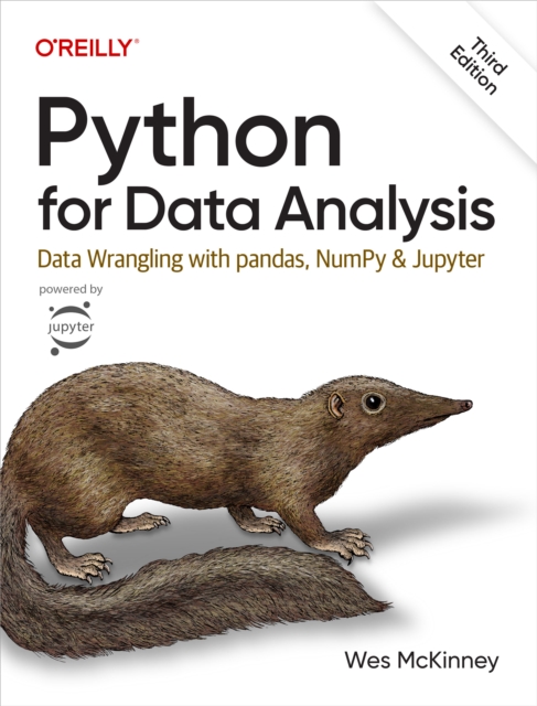 Python for Data Analysis, EPUB eBook