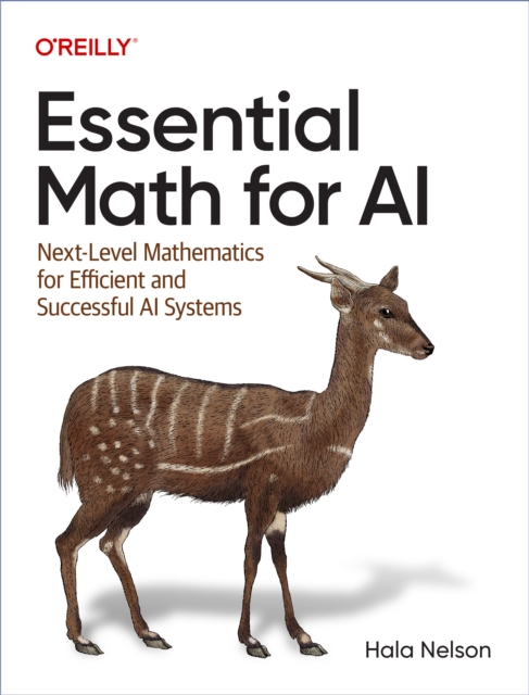 Essential Math for AI, PDF eBook