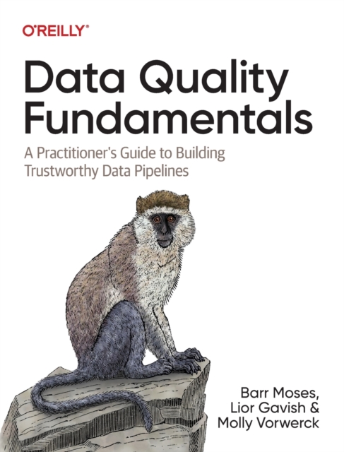 Data Quality Fundamentals : A Practitioner's Guide to Building Trustworthy Data Pipelines, Paperback / softback Book