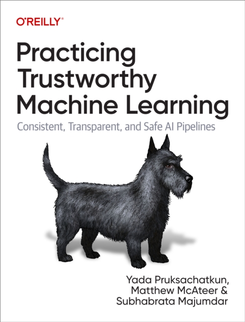 Practicing Trustworthy Machine Learning, EPUB eBook
