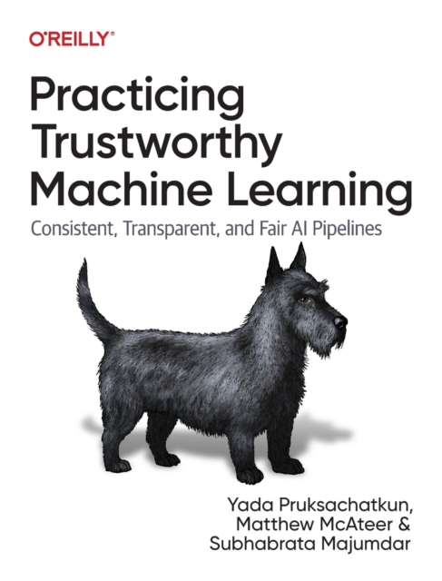 Practicing Trustworthy Machine Learning : Consistent, Transparent, and Fair AI Pipelines, Paperback / softback Book