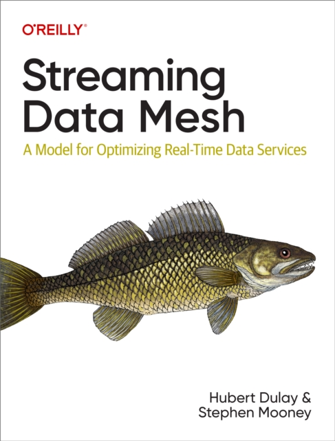 Streaming Data Mesh, EPUB eBook