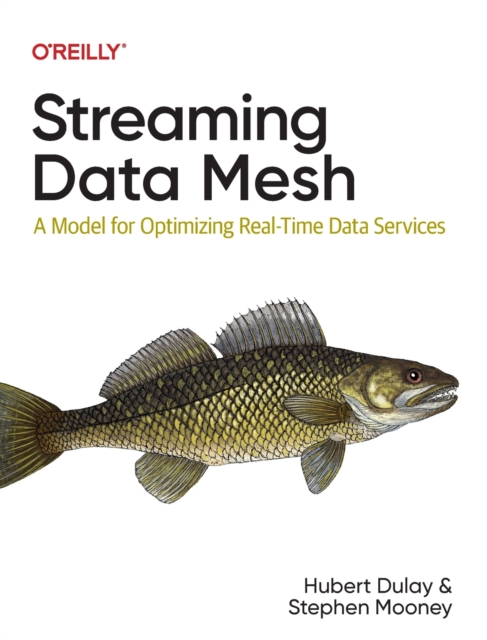 Streaming Data Mesh : A Model for Optimizing Real-Time Data Services, Paperback / softback Book