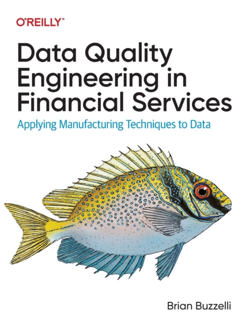 Data Quality Engineering in Financial Services : Applying Manufacturing Techniques to Data, Paperback / softback Book