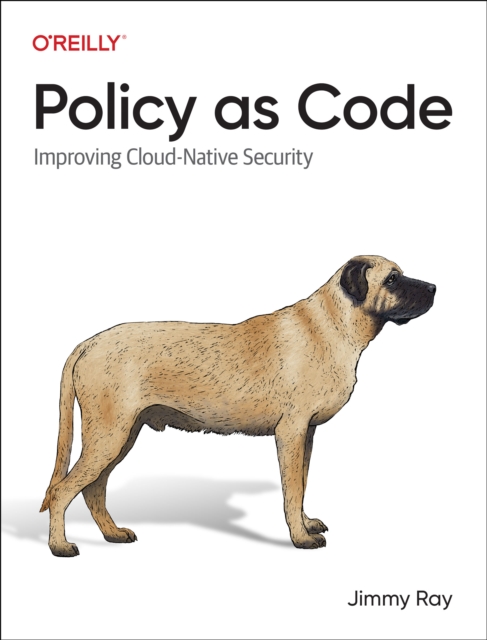 Policy as Code : Improving Cloud-Native Security, Paperback / softback Book