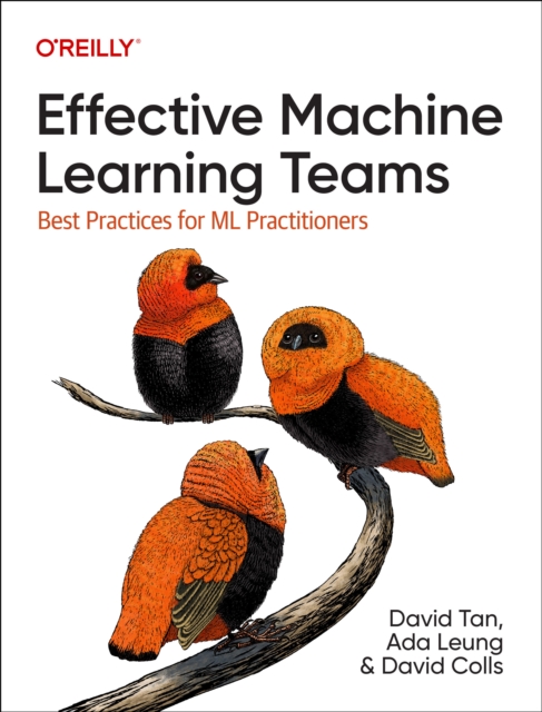 Effective Machine Learning Teams : Best Practices for ML Practitioners, Paperback / softback Book
