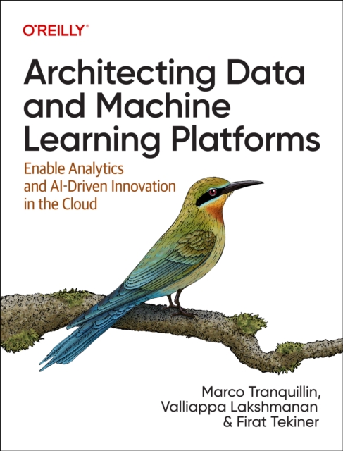 Architecting Data and Machine Learning Platforms : Enable Analytics and Ai-Driven Innovation in the Cloud, Paperback / softback Book