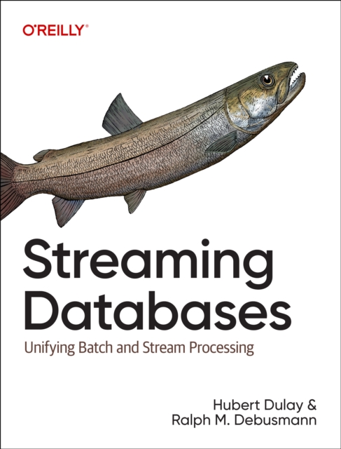 Streaming Databases : Building Real-Time, User-Facing Solutions, Paperback / softback Book