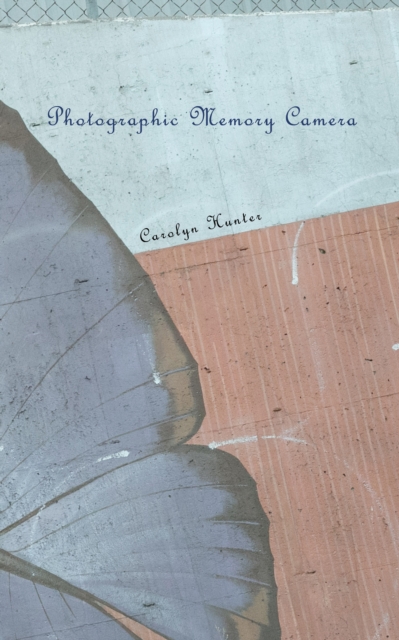 Photographic Memory Camera : poems & stories, EPUB eBook