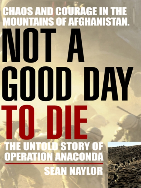 Not a Good Day to Die, EPUB eBook