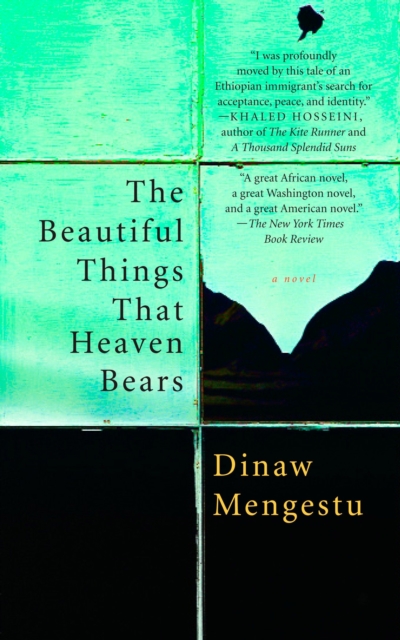Beautiful Things That Heaven Bears, EPUB eBook