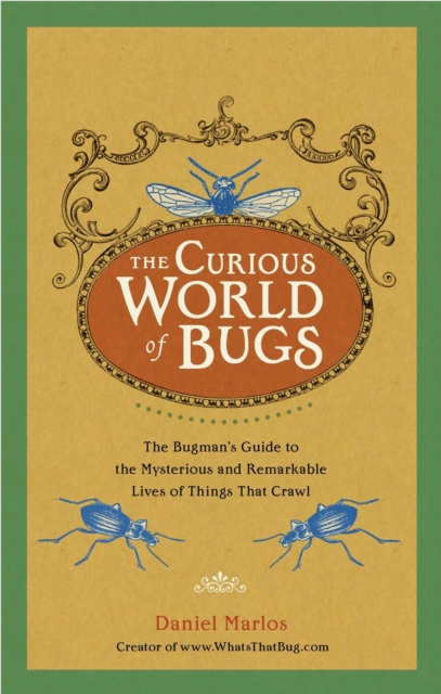 Curious World of Bugs, EPUB eBook