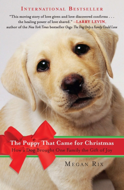 Puppy That Came for Christmas, EPUB eBook